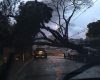 Chuvas derrubam árvores e fornecimento de energia é interrompido em Jundiaí